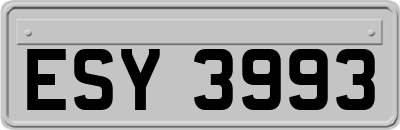 ESY3993