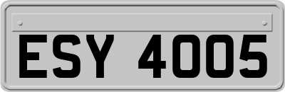 ESY4005