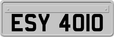 ESY4010