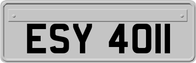 ESY4011