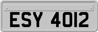ESY4012