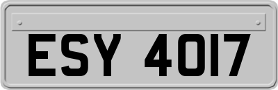 ESY4017
