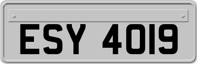 ESY4019