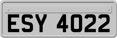 ESY4022
