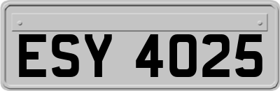 ESY4025