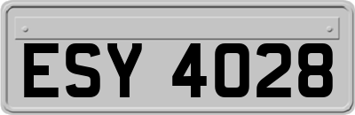 ESY4028