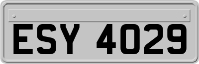 ESY4029
