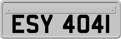 ESY4041