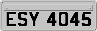 ESY4045