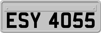 ESY4055
