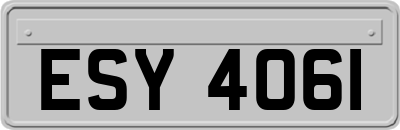 ESY4061