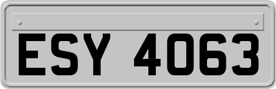 ESY4063
