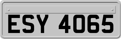ESY4065