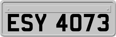 ESY4073