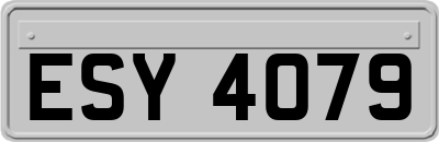 ESY4079