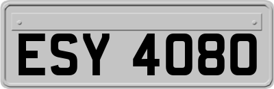 ESY4080