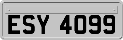 ESY4099