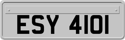 ESY4101