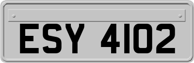 ESY4102