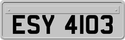 ESY4103