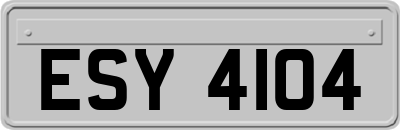 ESY4104