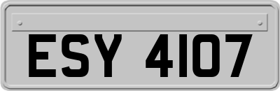 ESY4107