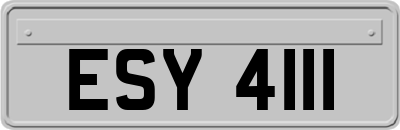 ESY4111