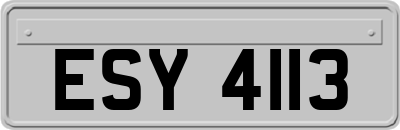 ESY4113
