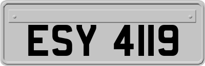 ESY4119