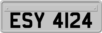 ESY4124