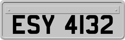 ESY4132