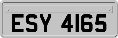ESY4165