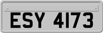 ESY4173