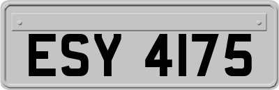 ESY4175