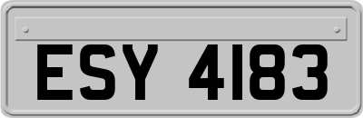 ESY4183