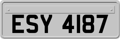 ESY4187