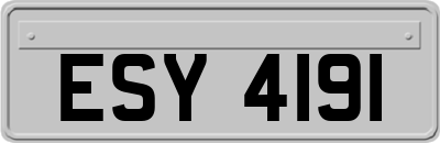 ESY4191