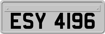 ESY4196