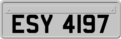 ESY4197