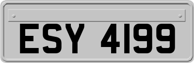 ESY4199
