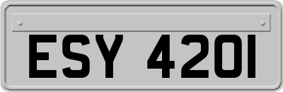 ESY4201
