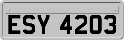 ESY4203