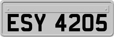 ESY4205