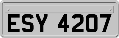 ESY4207
