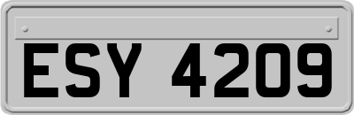 ESY4209