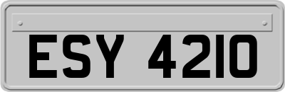 ESY4210