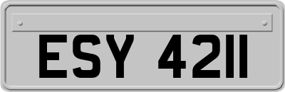 ESY4211