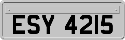 ESY4215