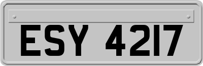 ESY4217