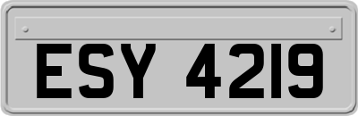 ESY4219
